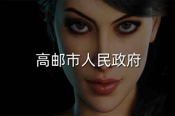 高邮市人民政府 - 官网预览