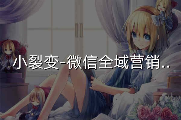 小裂变-微信全域营销增长服务商 - 官网预览