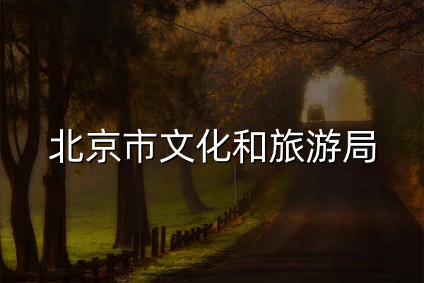 北京市文化和旅游局 - 官网预览