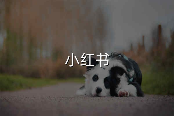 小红书 - 官网预览