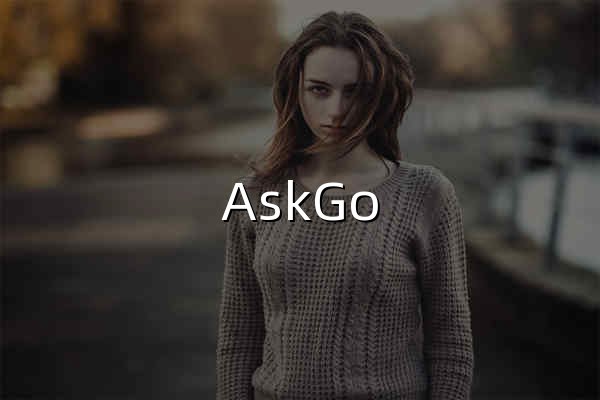 AskGo - 免费体验GPT,Claude,Gemini,Grok,DeepSeek - 官网预览