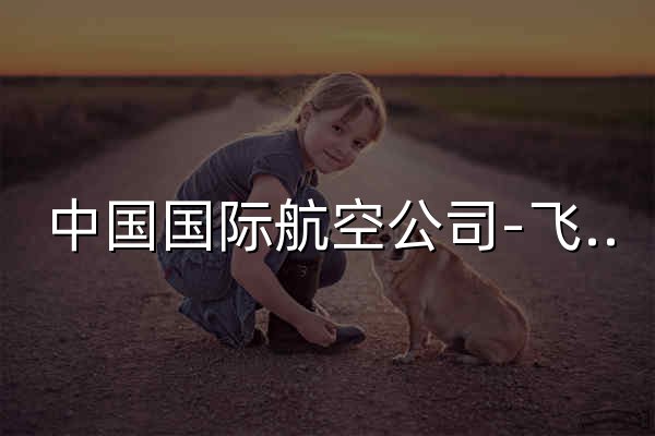 中国国际航空公司-飞机票查询预订_航班查询_最新打折特价机票 - 官网预览