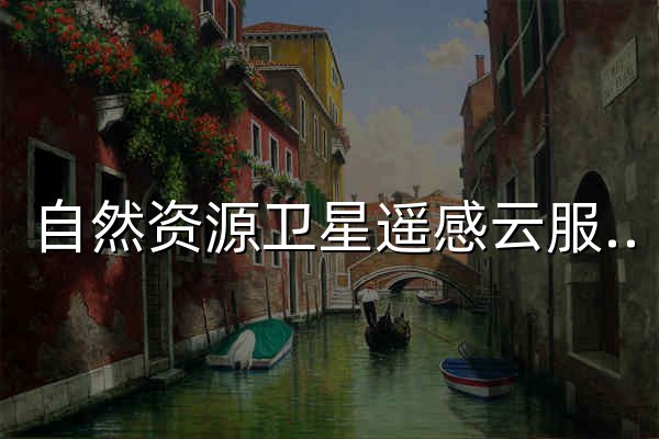 自然资源卫星遥感云服务平台 - 官网预览