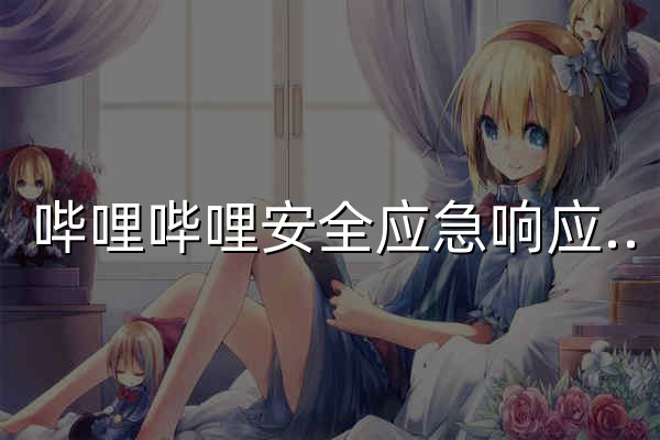 哔哩哔哩安全应急响应中心 - 官网预览