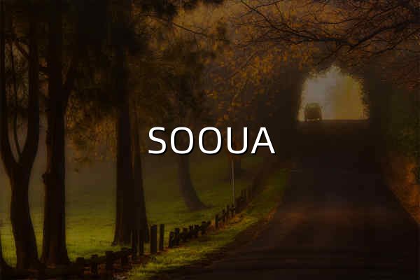 SOOUA - 聚合搜索引擎- AI搜索 - 原搜啊搜索 - 官网预览