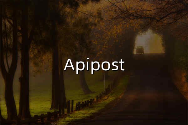 Apipost 单机版 — 纯离线、本地存储的 API 管理工具 - 官网预览