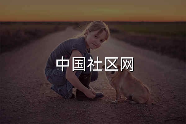 中国社区网 - 官网预览