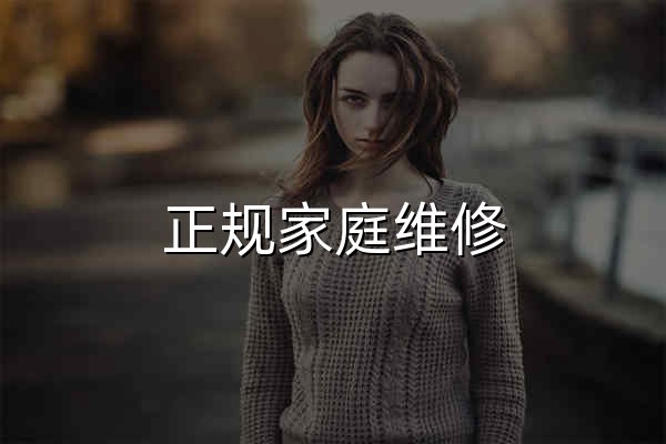 正规家庭维修，就找啄木鸟_啄木鸟家庭维修平台官网 - 官网预览