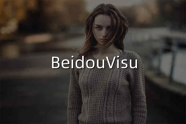 BeidouVisu - 北斗卫星导航系统 - 官网预览