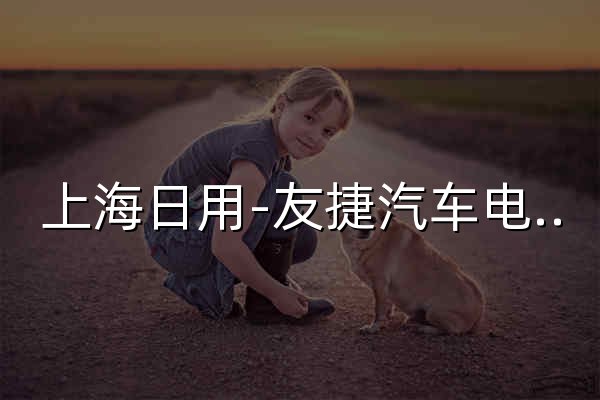 上海日用-友捷汽车电气有限公司 - 官网预览