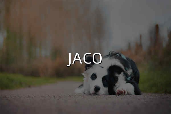 JACO 積高｜香港五金及 MRO 採購平台 - 官网预览