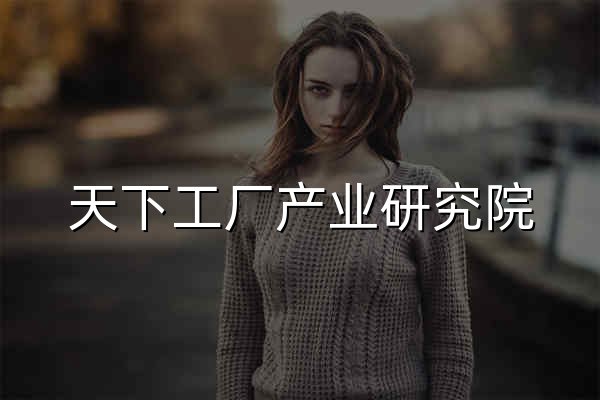 天下工厂产业研究院 — 中国制造业产业地图 - 官网预览