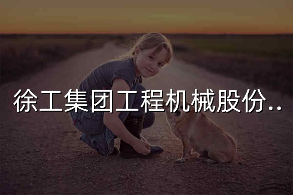 徐工集团工程机械股份有限公司,徐工机械,起重机,挖掘机,装载机,压路机,旋挖钻,混凝土机械,重卡-徐工官网 - 官网预览
