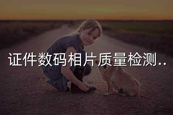 证件数码相片质量检测中心 - 官网预览