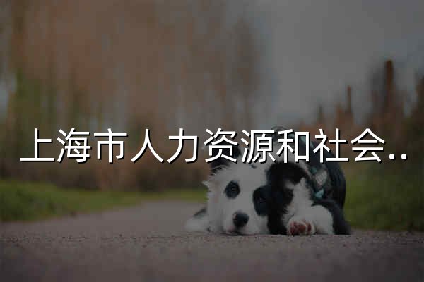上海市人力资源和社会保障局 - 官网预览