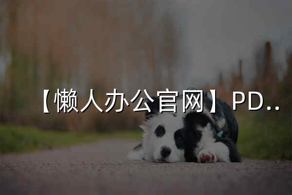【懒人办公官网】PDF图片处理工具 - 发票工具 - PPT模板免费下载 - 官网预览