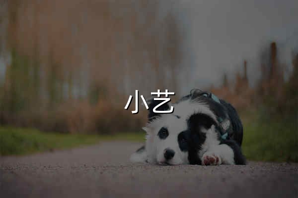 小艺 - 官网预览