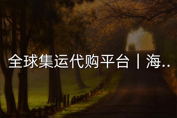 全球集运代购平台｜海外购物首选｜Buy&Ship 中国 - 官网预览