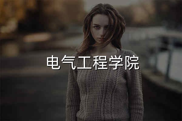 电气工程学院 - 官网预览