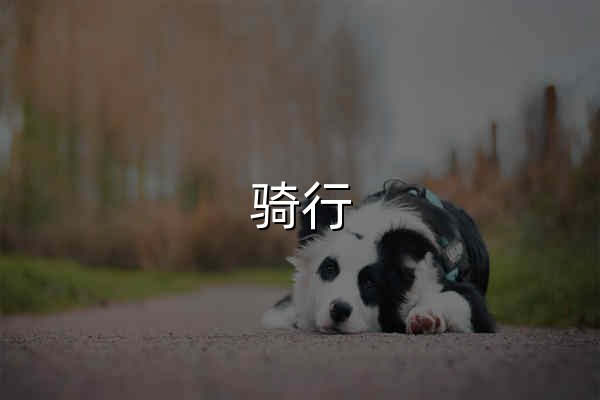 骑行 - 最实用的上路指南 | 骑行路线 - 官网预览