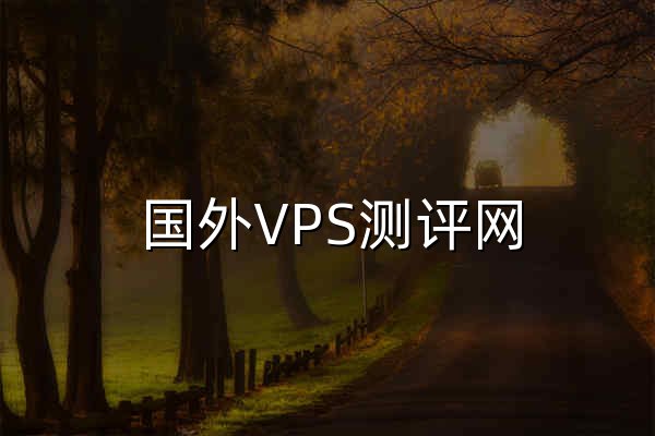 国外VPS测评网 - 优惠VPS,云服务器,主机推荐,国外服务器 - 官网预览