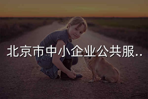 北京市中小企业公共服务平台 - 官网预览