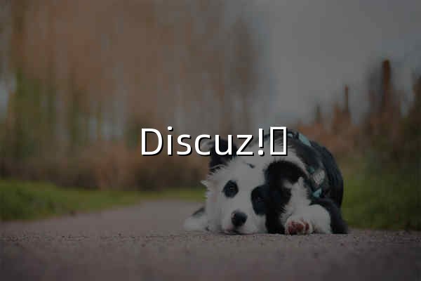 Discuz!ᵂ 官方网站 - 领先的社区云解决方案服务商，当前最受欢迎的建站系统之一 - 官网预览