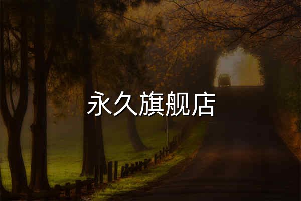 永久旗舰店 - 京东 - 官网预览