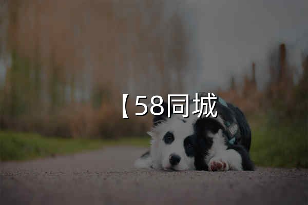 【58同城 58.com】南京分类信息 - 本地 免费 高效 - 官网预览