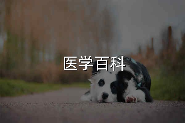 医学百科_公益靠谱的医学知识宝库_医学网 - 官网预览