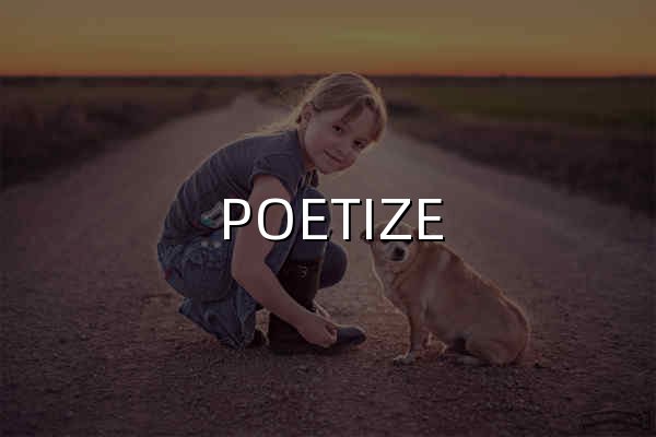 POETIZE - 最美博客 - 官网预览