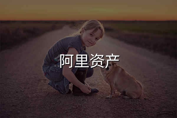 阿里资产 - 官网预览
