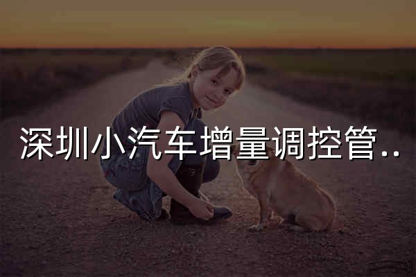 深圳小汽车增量调控管理信息系统 - 官网预览