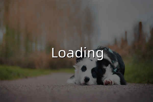 Loading - 官网预览