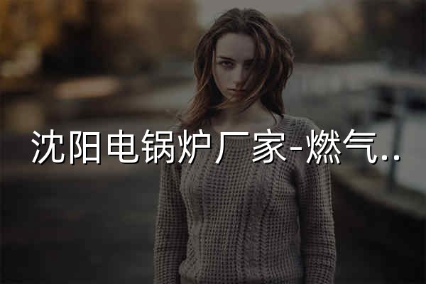 沈阳电锅炉厂家-燃气锅炉-蒸汽发生器-沈阳中瑞锅炉有限公司 - 官网预览