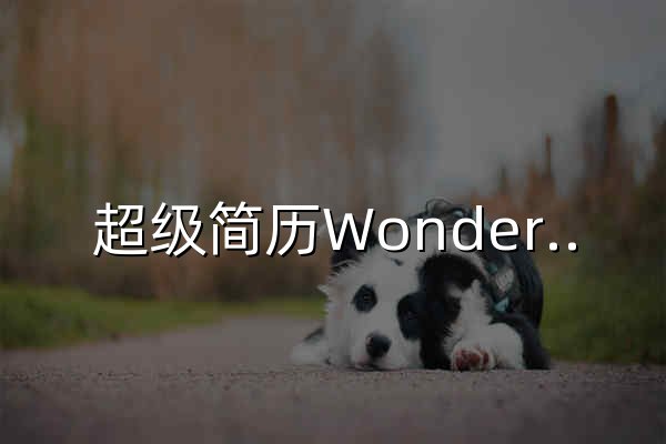 超级简历WonderCV - AI智能简历制作工具,HR推荐专业中英文简历模板免费下载 - 官网预览