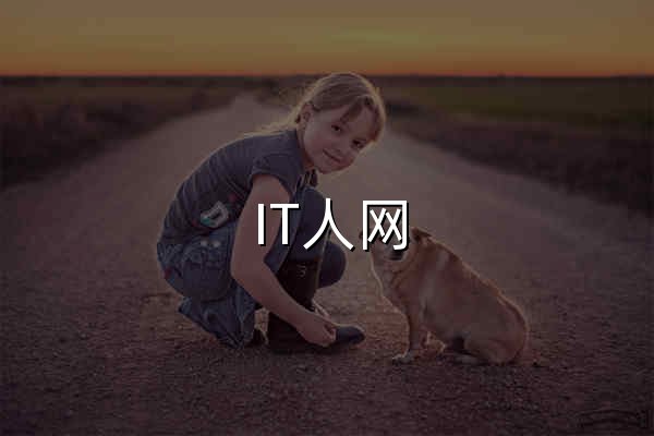 IT人网 - 专注IT人的一站式科技信息门户 - 官网预览
