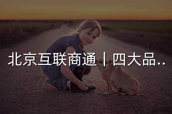 北京互联商通｜四大品牌:出海独立站、AI 工具、小程序开发 - 官网预览