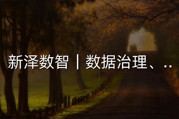 新泽数智｜数据治理、数据采标、医疗数据与资产化服务 - 官网预览