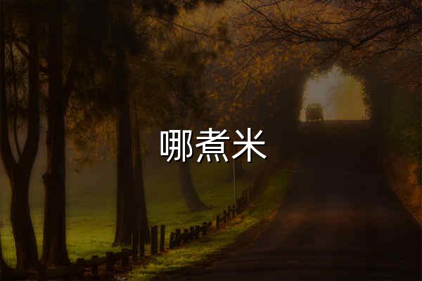 哪煮米 - 官网预览