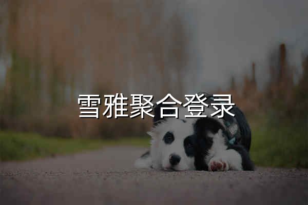 雪雅聚合登录 - 社会化账号聚合登录系统 - 官网预览