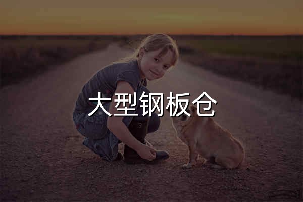 大型钢板仓 - 官网预览