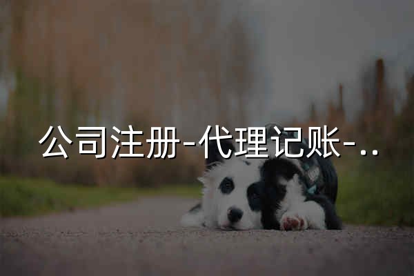 公司注册-代理记账-兴悦达助力财税 - 官网预览