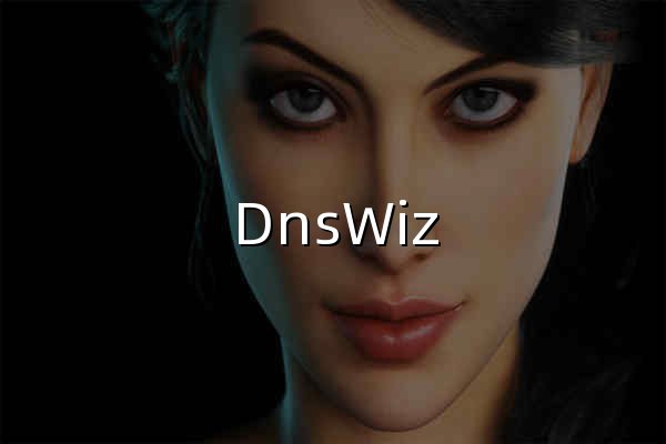 DnsWiz 空灵论坛 - 官网预览