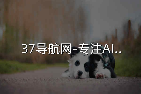 37导航网-专注AI工具集和资源查找 - 官网预览