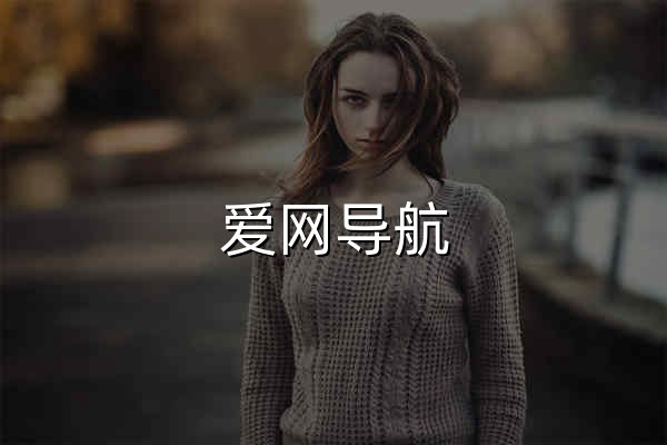 爱网导航 - 一个专注收集分享优质免费资源的导航 - 官网预览