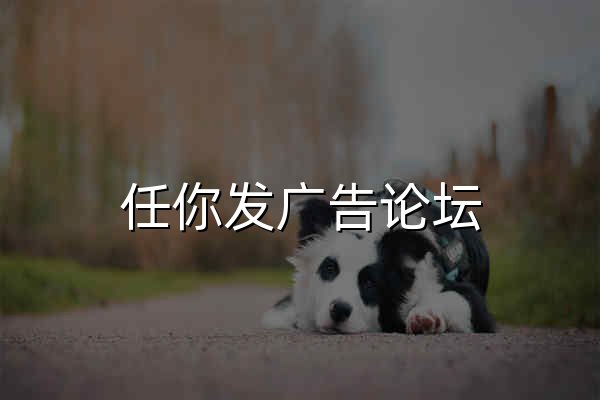 任你发广告论坛 - 官网预览