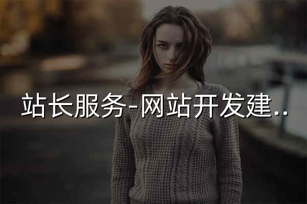 站长服务-网站开发建设|seo优化|网站运营 - 官网预览