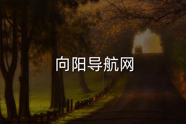 向阳导航网 - 官网预览