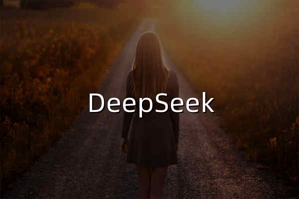 DeepSeek | 深度求索 - 官网预览